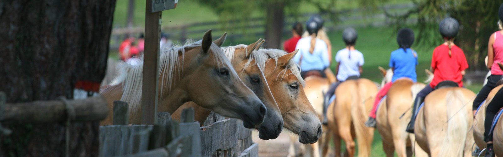 reiten2