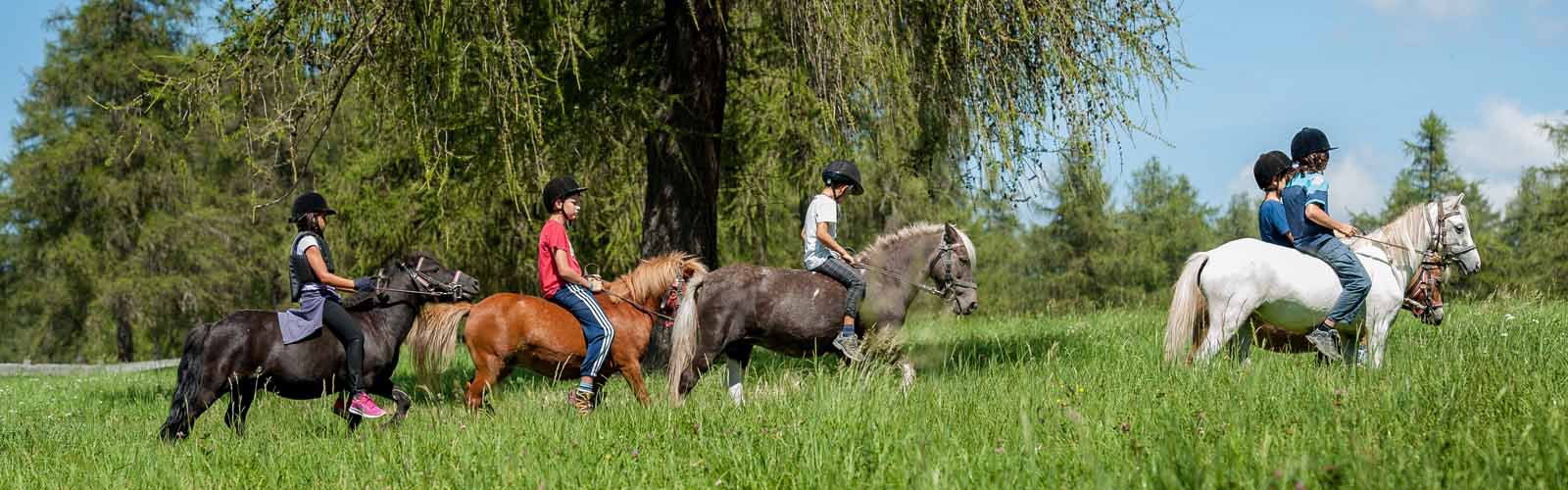 reiten5